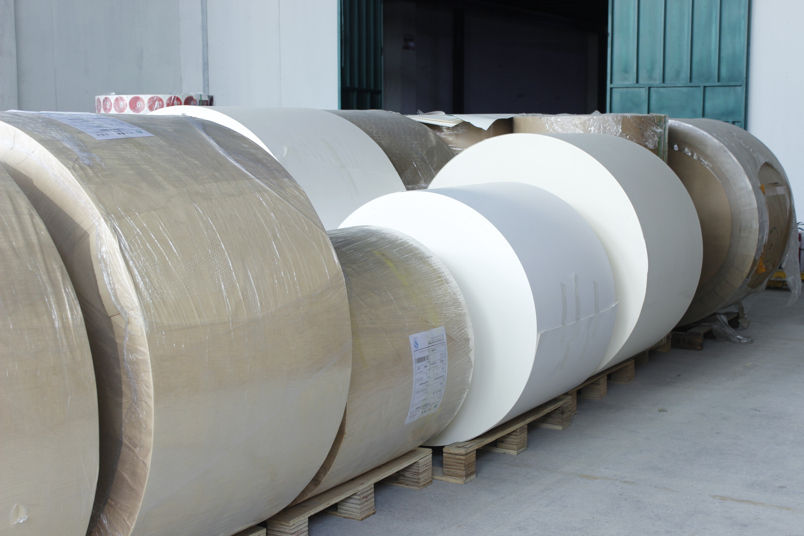 Cina Guangzhou Victory Paper Products Co., Ltd. Profil Perusahaan