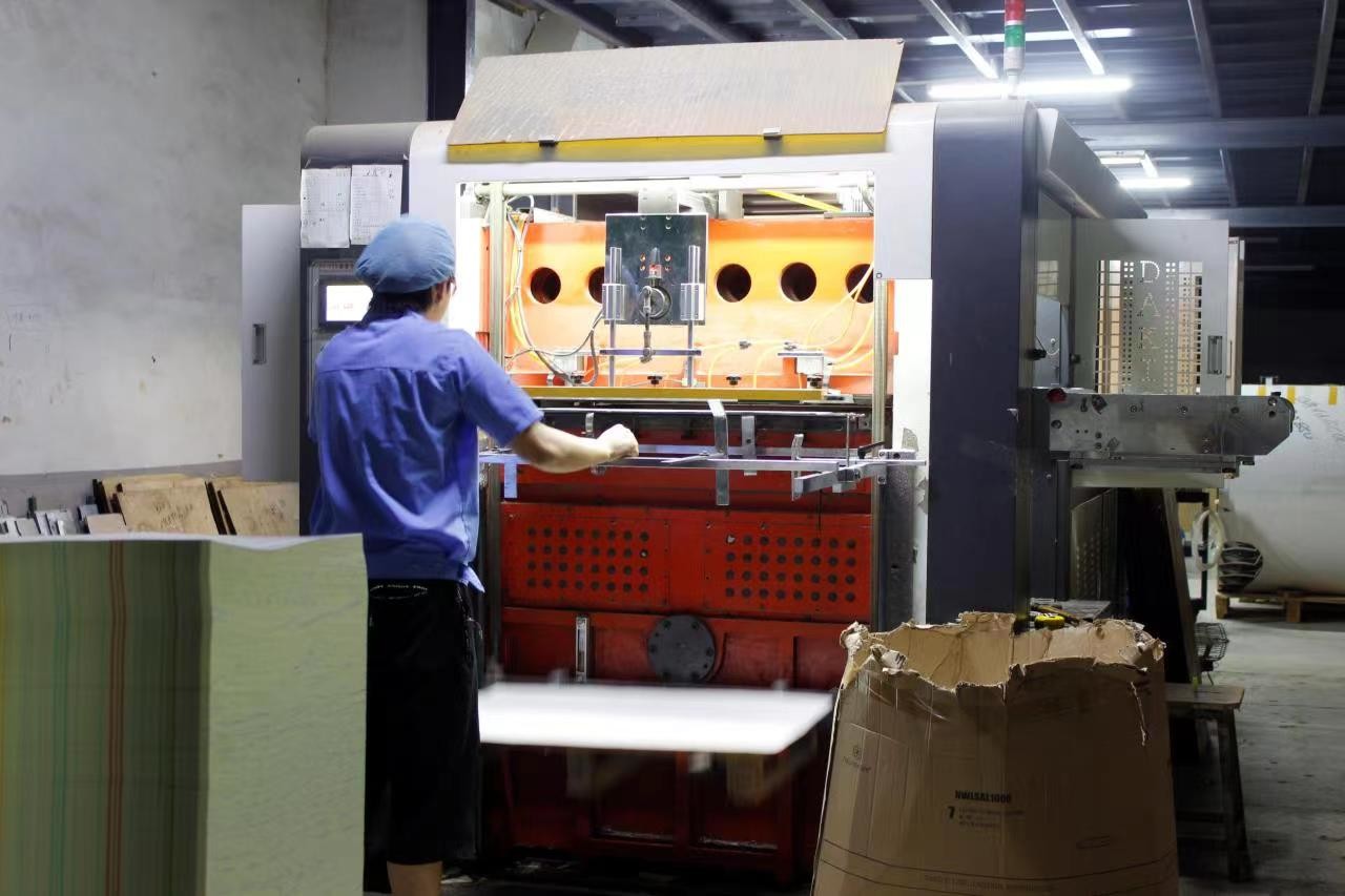 Cina Guangzhou Victory Paper Products Co., Ltd. Profil Perusahaan